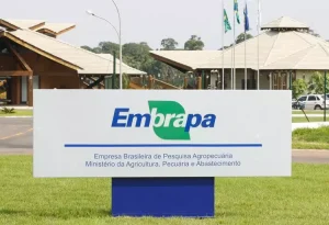 Embrapa