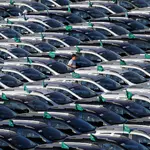 Um trabalhador caminha por carros novos estacionados em fileiras no estacionamento da General Motors, GM, em São Bernardo do Campo, SP (2015) | Foto: Shutterstock