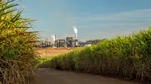 Cerca de 8% da eletricidade do Brasil vem de biomassa, onde se destaca o bagaço de cana | Foto: Shuttersotck