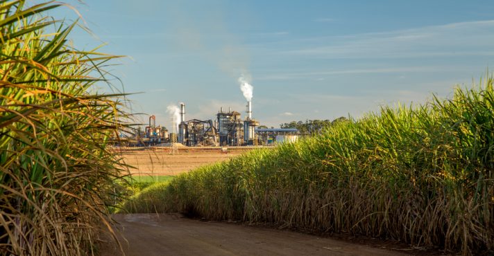 Cerca de 8% da eletricidade do Brasil vem de biomassa, onde se destaca o bagaço de cana | Foto: Shuttersotck