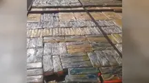 Maconha é apreendida em São Paulo | Foto: PMSP/Divulgação