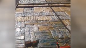 Maconha é apreendida em São Paulo | Foto: PMSP/Divulgação