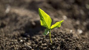 'O conteúdo da lei é prejudicial para o agro da forma que se apresenta hoje', afirma Eduardo Berbigier | Foto: Divulgação/Planeta Campo