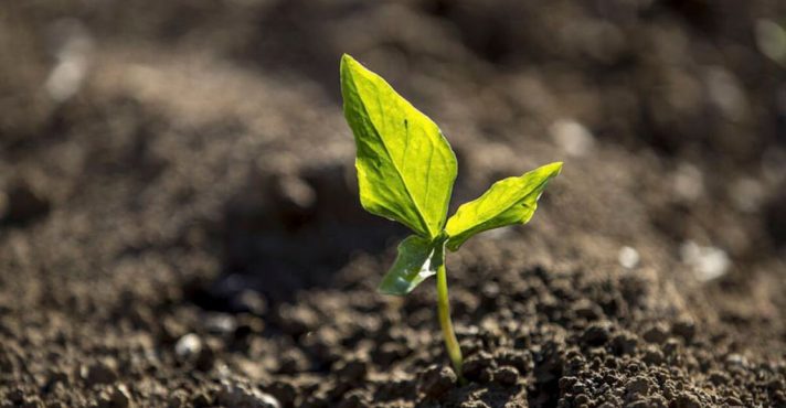 'O conteúdo da lei é prejudicial para o agro da forma que se apresenta hoje', afirma Eduardo Berbigier | Foto: Divulgação/Planeta Campo