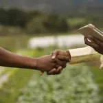 Os números das dívidas do agronegócio mostram elevação de 27,6% em relação aos R$ 12,3 bilhões registrados em outubro de 2024 | Foto: Reprodução/Freepik