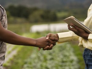 Os números das dívidas do agronegócio mostram elevação de 27,6% em relação aos R$ 12,3 bilhões registrados em outubro de 2024 | Foto: Reprodução/Freepik