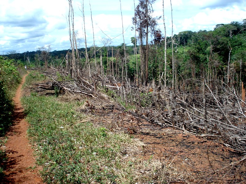 Amazônia