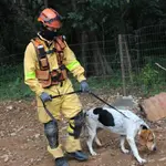 O treinamento dos cães bombeiros é contínuo e inclui exercícios para superar obstáculos e atravessar rios | Foto: Divulgação/SSP