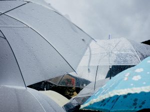 Apesar das chuvas intensas, há baixo risco de corte de energia elétrica, de queda de galho de árvores, de alagamentos e de descargas elétricas | Foto: Jcomp/Freepik