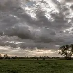 Chuvas no campo