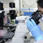 Contra o câncer: pesquisadores brasileiros desenvolvem substância que interrompe o crescimento das células tumorais | Foto: Divulgação/Agência SP