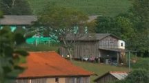 Indígenas invadem fazenda no norte do RS