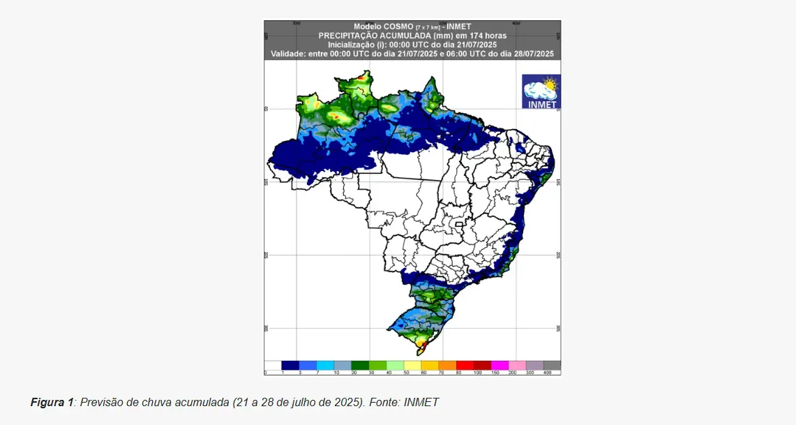 Mapa mostra precipitação no Brasil