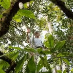 Em A Força do Agro desta quarta-feira, 16, o espectador vai entender o que é uma floresta sintrópica | Foto: Divulgação/EcoAgro