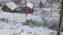 Frente fria: imagem mostra neve na Serra Catarinense: 29/05/2025 | Foto: Reprodução/Instagram