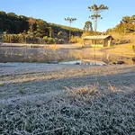 Frio