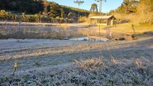 Frio