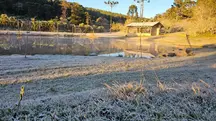 Frio