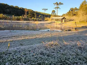 Frio
