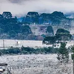 Os Estados do Sul do Brasil têm registrado frio intenso | Foto: Reprodução/Instagram