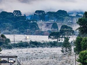 Os Estados do Sul do Brasil têm registrado frio intenso | Foto: Reprodução/Instagram