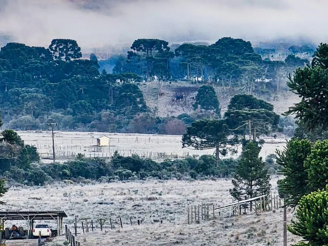 Os Estados do Sul do Brasil têm registrado frio intenso | Foto: Reprodução/Instagram