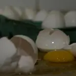 Participantes que consumiam ovo com frequência apresentaram menos placas beta-amiloides e emaranhados neurofibrilares, alterações típicas do Alzheimer