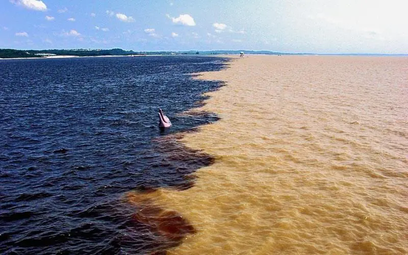 Rios Negro e Solimões