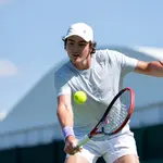 O tenista brasileiro João Fonseca, em Wimbledon