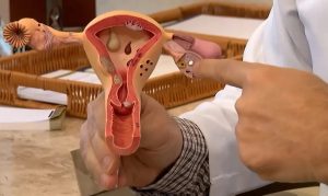Endometriose: diagnóstico da doença cresceu 30% entre 2022 e 2024 | Foto: Reprodução/TV Brasil