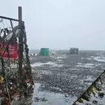 Tsunami eua