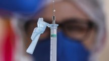 Desenvolvida nos EUA, combinação de vacina foi testada em camundongos com melanoma: resultados animadores | Foto: Fabio Rodrigues Pozzebom/Agência Brasil