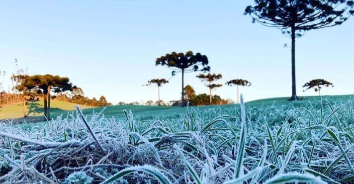 Geadas cobrem a vegetação ao amanhecer na região Sul | Foto: Divulgação/Agência Estadual de Notícias do Paraná