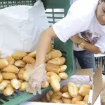pão emprego vagas são paulo mão de obra clt