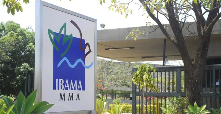ibama multa arrecadação desmatamento amazonas gado produtores