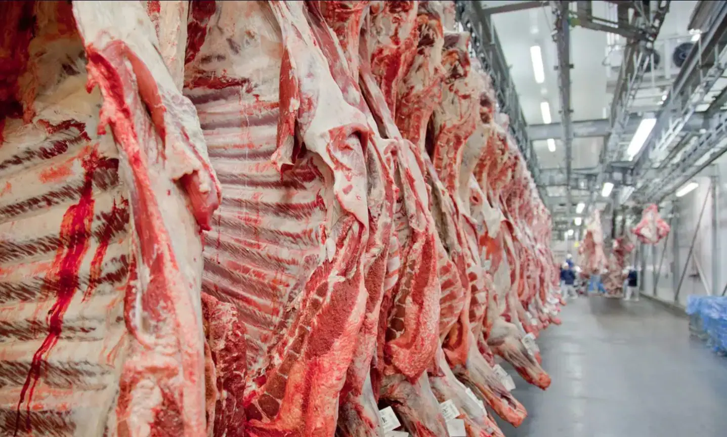 carne suco laranja café frutas frescas exportações trump eua tarifas