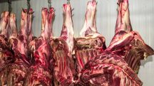 carne bovina eua brasil mercado trump tarifas