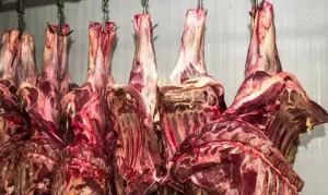 carne bovina eua brasil mercado trump tarifas