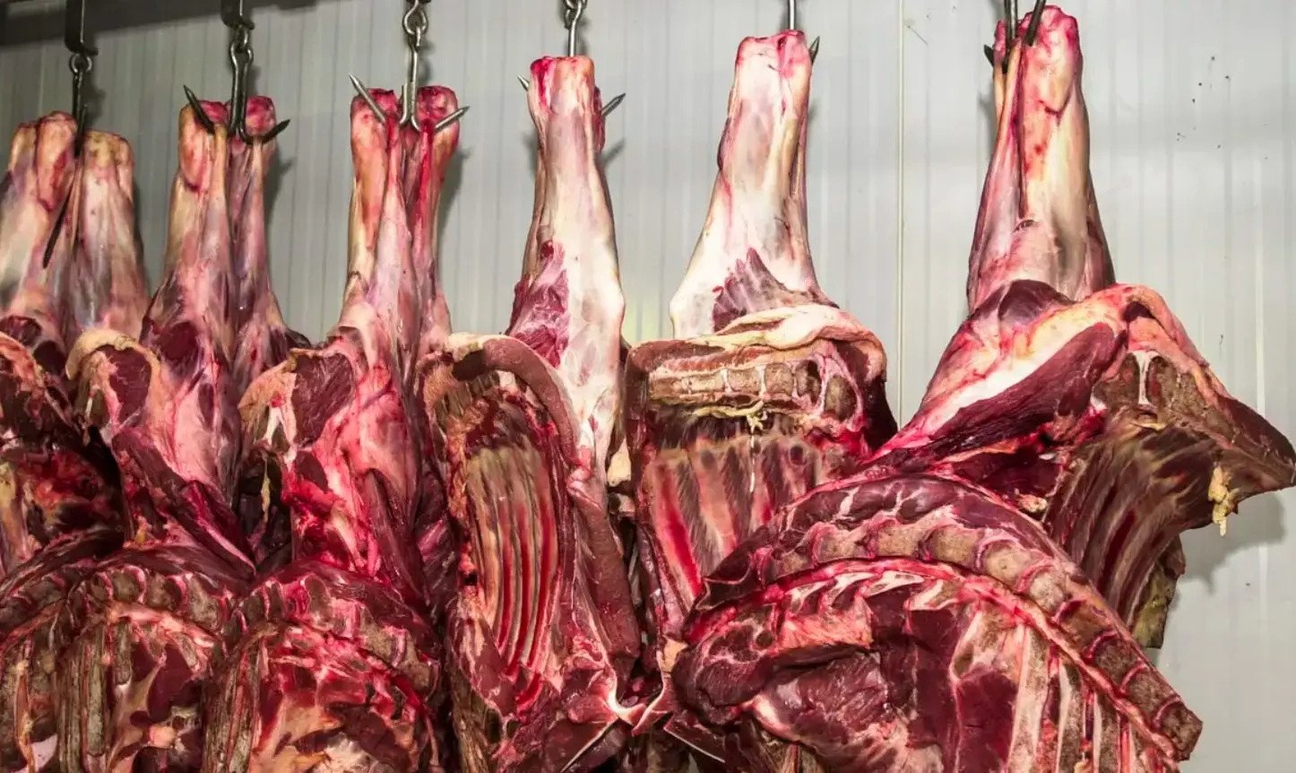 carne bovina eua brasil mercado trump tarifas