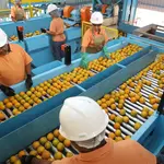 suco laranja carne tarifa eua trump café agronegócio