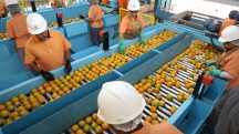 suco laranja carne tarifa eua trump café agronegócio