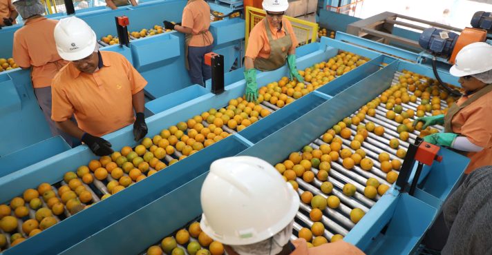 suco laranja carne tarifa eua trump café agronegócio