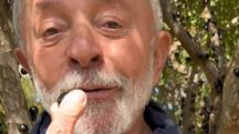 lula oferece jabuticaba para trump