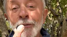 lula oferece jabuticaba para trump