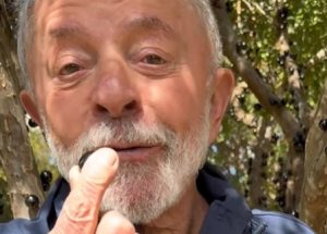 lula oferece jabuticaba para trump