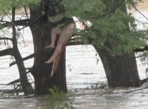 menina resgatada chuvas texas