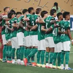 palmeiras no mundial de clubes da fifa - artigo de milton neves