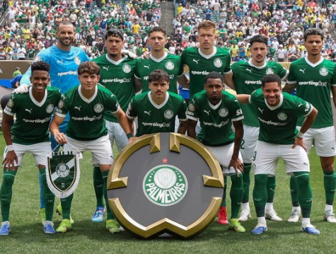 palmeiras perfilado x botafogo - mundial de clubes
