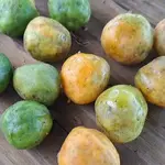 umbu-cajá