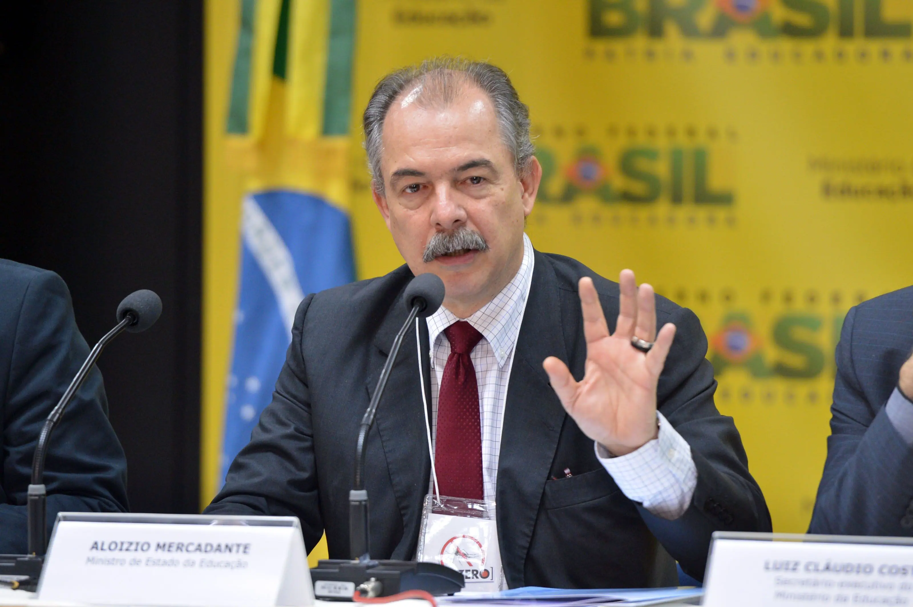 Aloizio Mercadante, presidente do BNDES